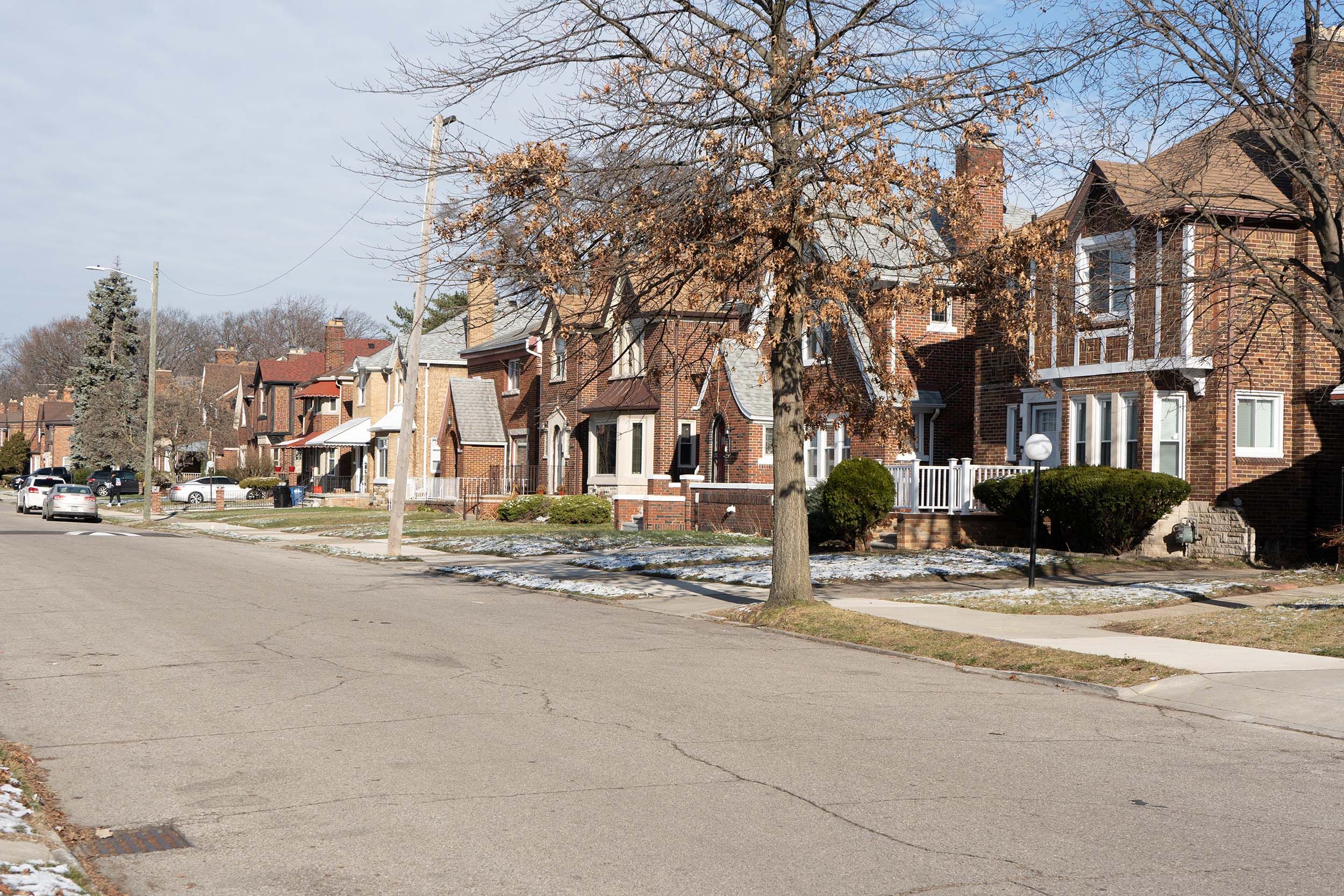 Street of houses in Bagley, Detroit, MI